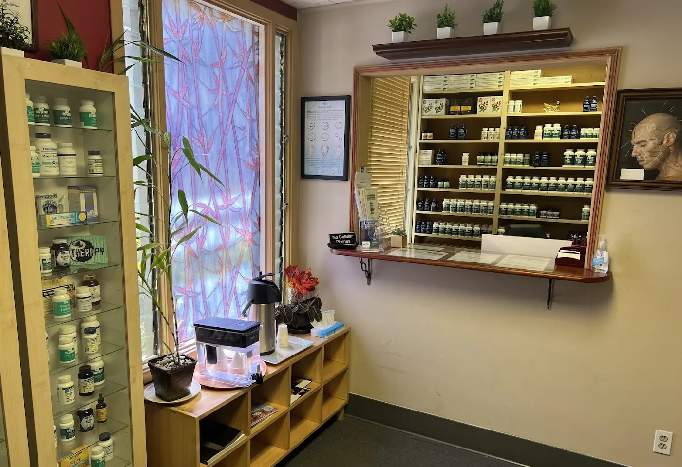Biotherapy Clinic/Colonics/Acupuncture
