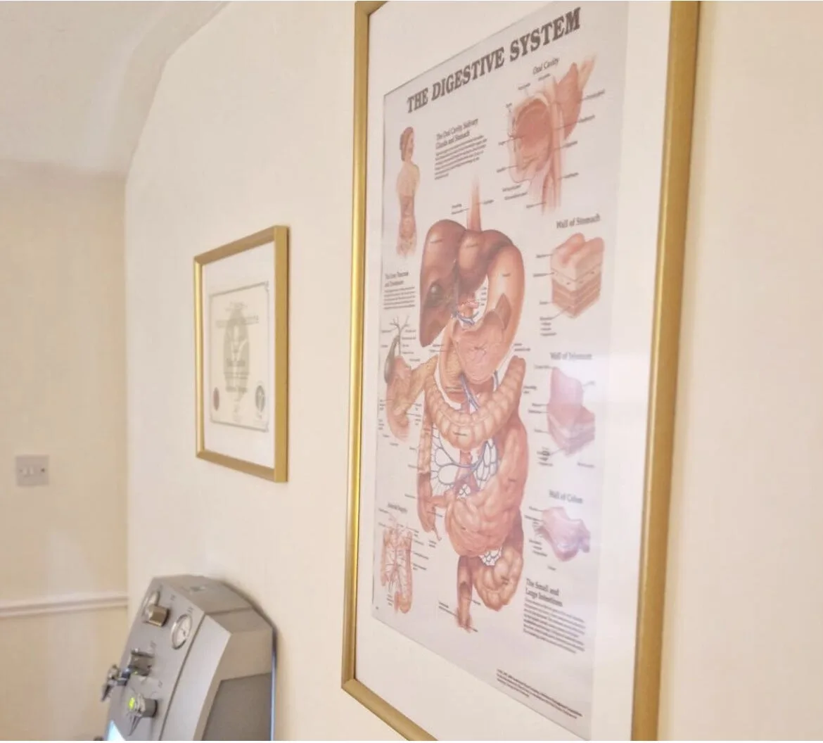 OPTIMAL WELLNESS Colon Hydrotherapy