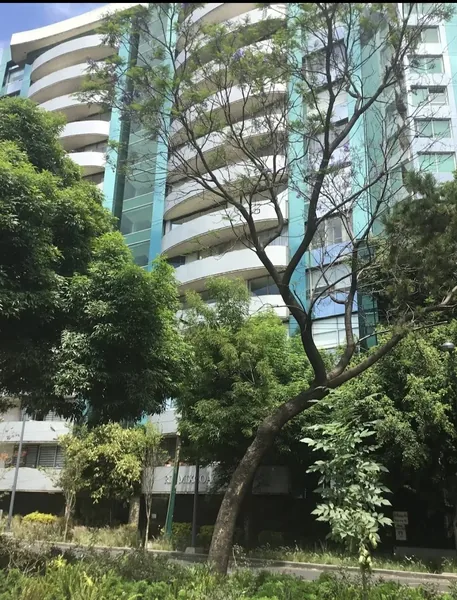 Hidroterapia de Colon CDMX Alejandra Quintana, ¡La Guardiana de TU colon!